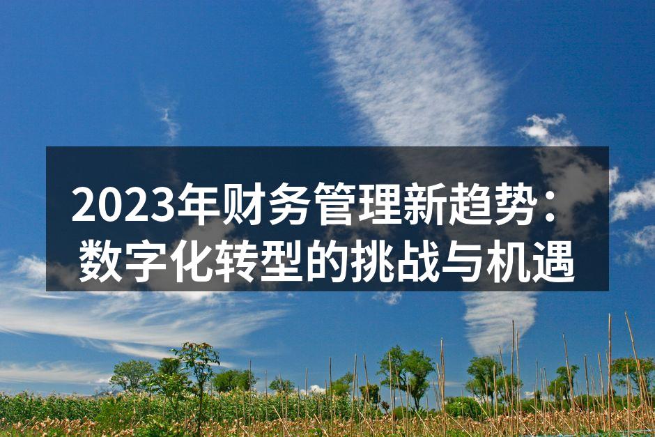 2023年财务管理新趋势：数字化转型的挑