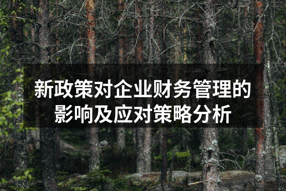 新政策对企业财务管理的影响及应对策略分析