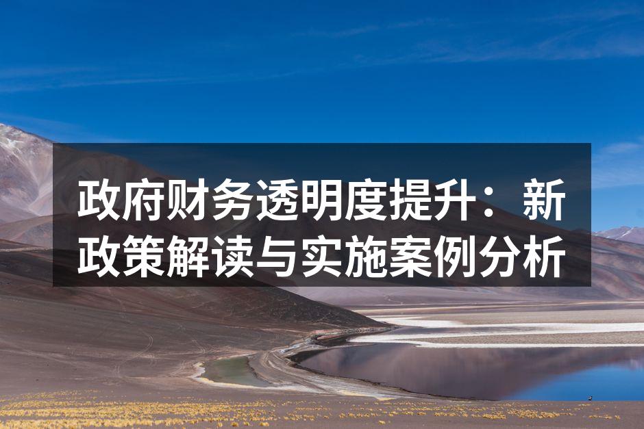 政府财务透明度提升：新政策解读与实施案例