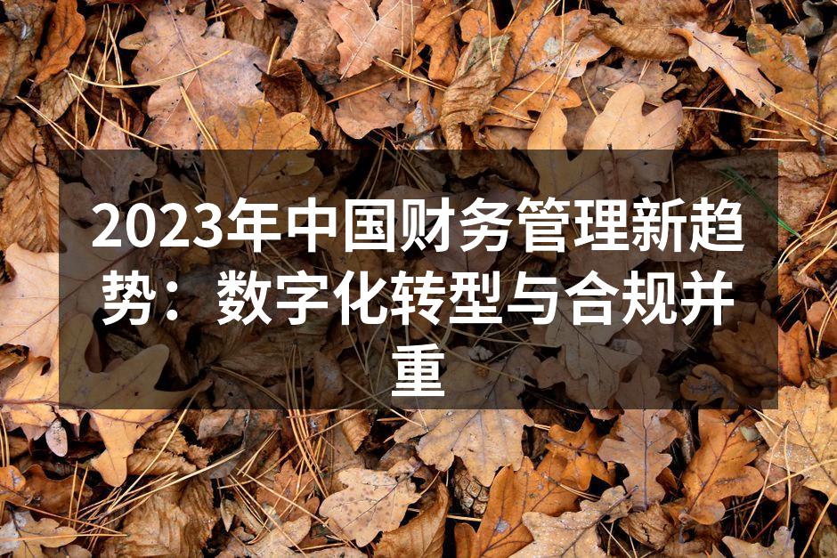 2023年中国财务管理新趋势：数字化转型